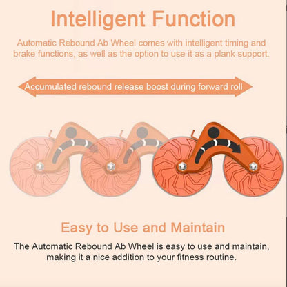 Abdominal Wheel